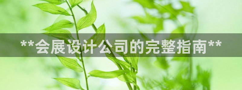 果博注册：**会展设计公司的完整指南**
