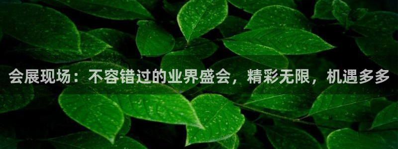 果博代理电话多少：会展现场：不容错过的业界盛会，精彩无限，机遇多多
