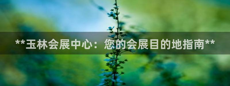 果博平台真实吗知乎