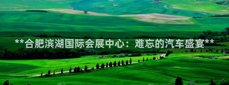果博旗舰厅：**合肥滨湖国际会展中心：难忘的汽车盛宴**