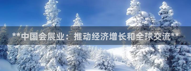 果博公司会员注册账号开户：**中国会展业：推动经济增长和全球交流**