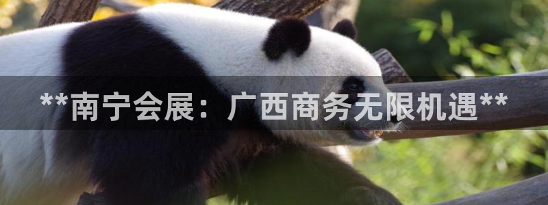 果博注册客服电话号码是多少：**南宁会展：广西商务无限机遇**