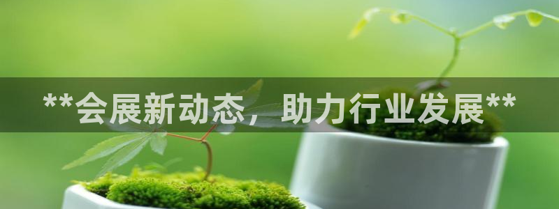 果博公司怎么开户