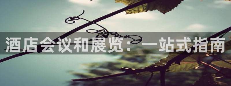 电脑怎么下载果考网：酒店会议和展览：一站式指南