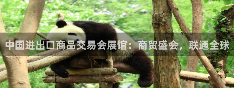 果博注册平台怎么注册：中国进出口商品交易会展馆：商贸盛会，联通全球