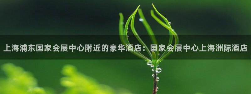 果博手机下载：上海浦东国家会展中心附近的