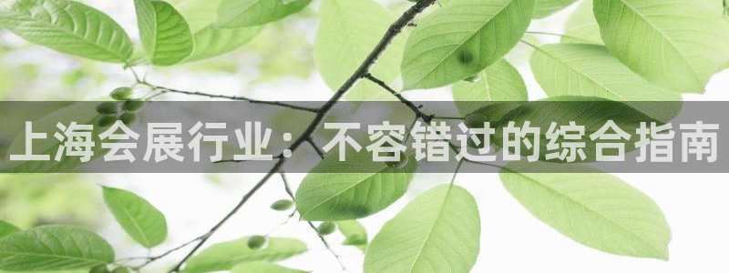 果博手机下载网址：上海会展行业：不容错过的综合指南