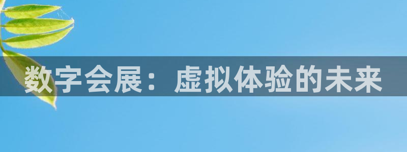 果博官网在银博：数字会展：虚拟体验的未来