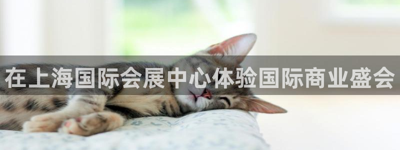 果博公司开户：在上海国际会展中心体验国际