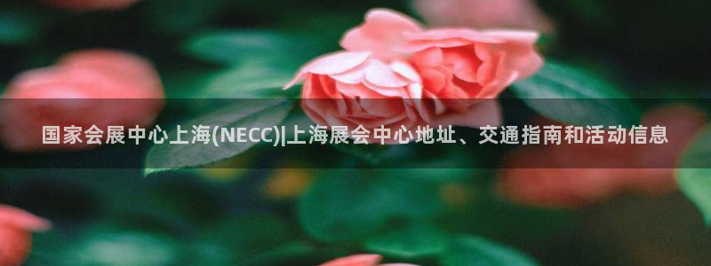 果博公司在线客服：国家会展中心上海(NECC)|上海展会中心地址、交通指南和活动信息