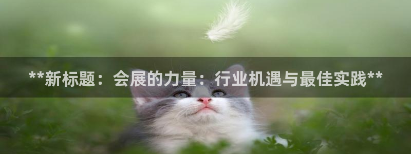 果博注册会员怎么注销：**新标题：会展的力量：行业机遇与最佳实践**