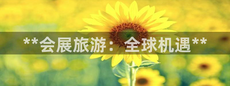 果博公司会员开户：**会展旅游：全球机遇**