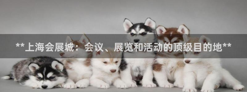 苹果电脑可以下载博易大师吗：**上海会展城：会议、展览和活动的顶级目的地**
