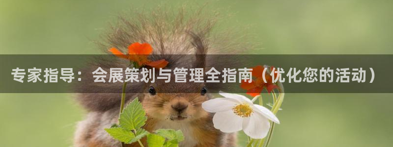 果博公司开户：专家指导：会展策划与管理全指南（优化您的活动）