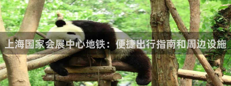 果博官方网：上海国家会展中心地铁：便捷出行指南和周边设施