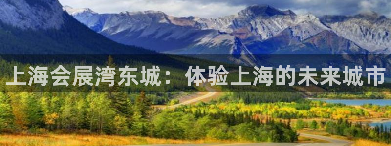 果博注册平台怎么注册不了：上海会展湾东城：体验上海的未来城市