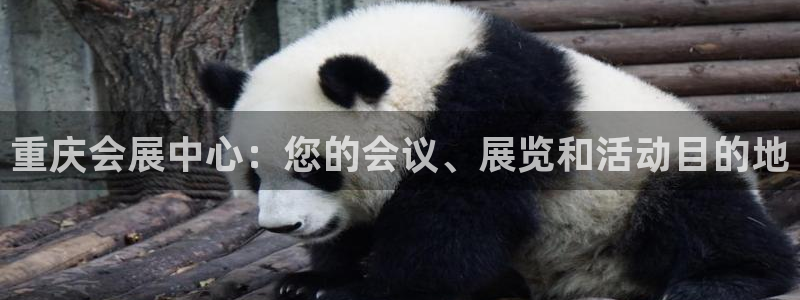 果博公司客服电话号码：重庆会展中心：您的会议、展览和活动目的地