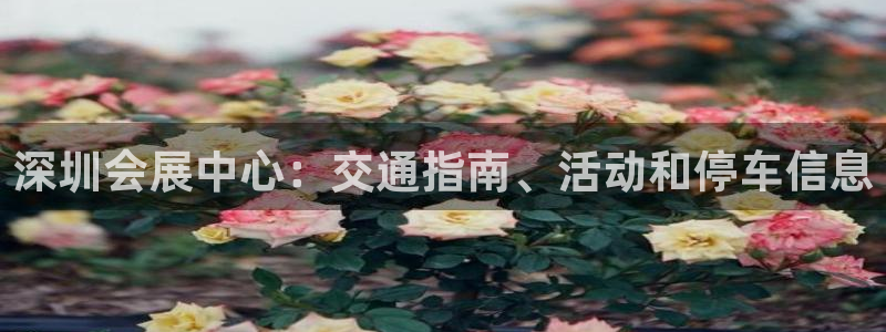 果博东官方网站怎么下载