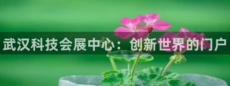 果博注册客服电话是多少啊：武汉科技会展中心：创新世界的门户