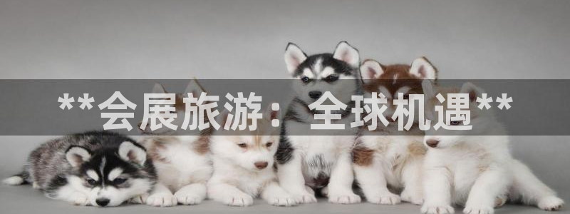果博平台开户电话查询：**会展旅游：全球机遇**