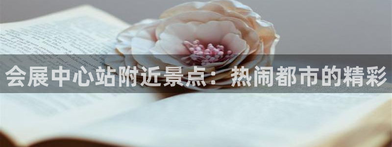 果博平台真实吗安全吗可信吗可靠吗：会展中心站附近景点：热闹都市的精彩