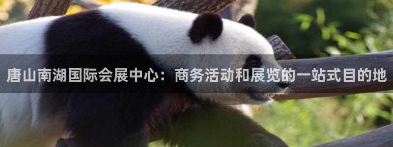 果博公司在线客服：唐山南湖国际会展中心：商务活动和展览的一站式目的地
