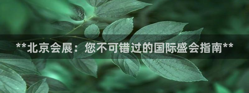 果博平台开户电话：**北京会展：您不可错过的国际盛会指南**