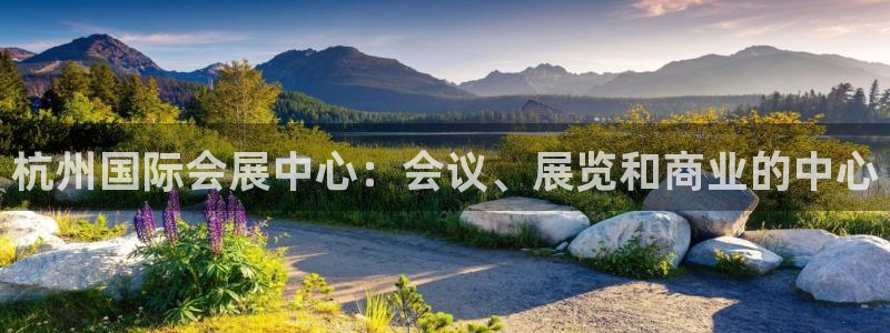 果博平台真实吗安全吗可信吗：杭州国际会展中心：会议、展览和商业的中心