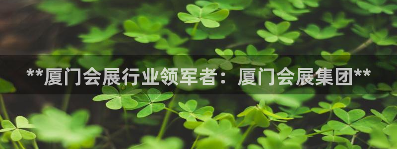 果博账号注册：**厦门会展行业领军者：厦门会展集团**