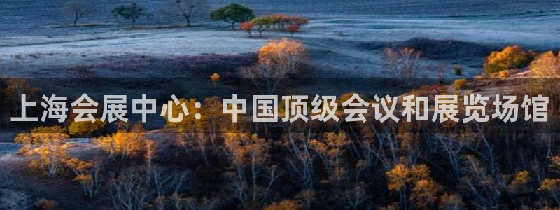 果博平台开户电话是多少：上海会展中心：中国顶级会议和展览场馆