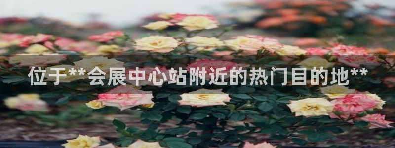 下载果博：位于**会展中心站附近的热门目