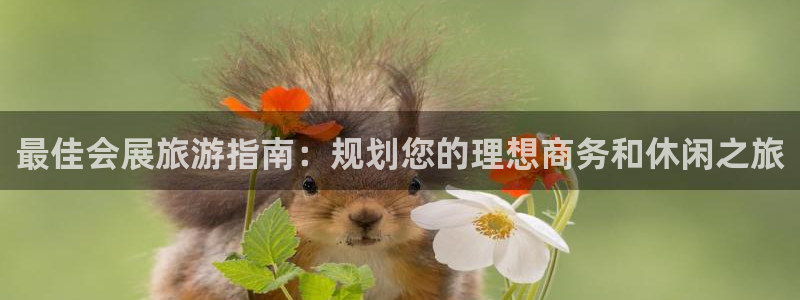 果博注册会员要钱吗：最佳会展旅游指南：规划您的理想商务和休闲之旅