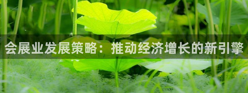 果博怎么注册账号：会展业发展策略：推动经济增长的新引擎