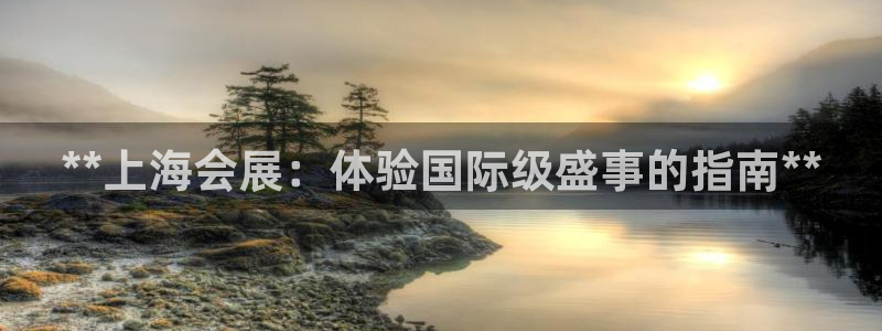 果博注册平台怎么注册账号：**上海会展：体验国际级盛事的指南**