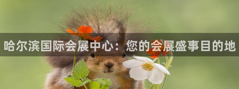 下载果博app：哈尔滨国际会展中心：您的会展盛事目的地