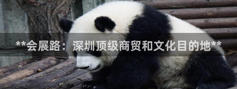 果博手机下载网址