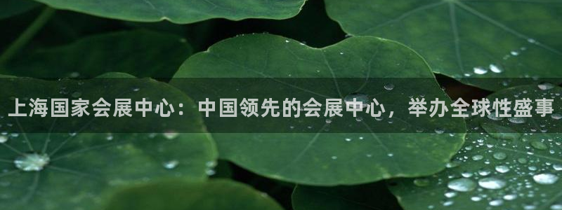 果博环保官网：上海国家会展中心：中国领先的会展中心，举办全球性盛事