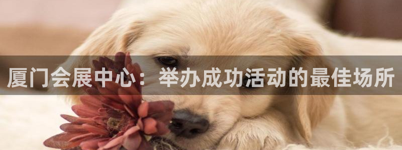 果博注册平台怎么注册：厦门会展中心：举办成功活动的最佳场所