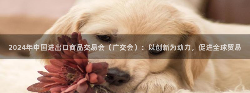 果博怎么注册账号：2024年中国进出口商品交易会（广交会）：以创新为动力，促进全球贸易