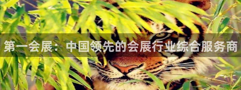 果博注册电话：第一会展：中国领先的会展行业综合服务商