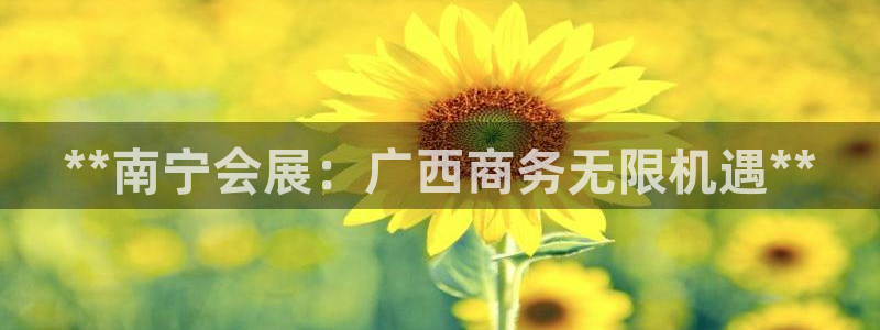 果博东手机版下载开户：**南宁会展：广西商务无限机遇**