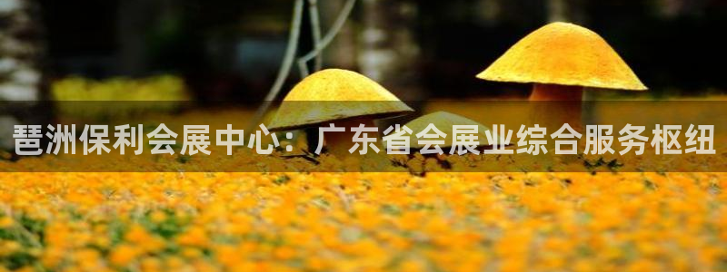 果博公司客服微信怎么加