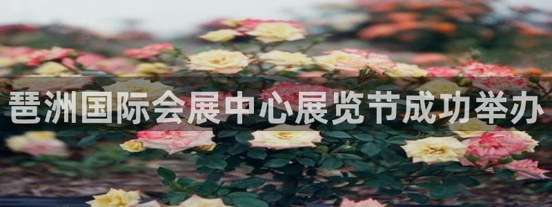 果博公司客服怎么样：琶洲国际会展中心展览节成功举办