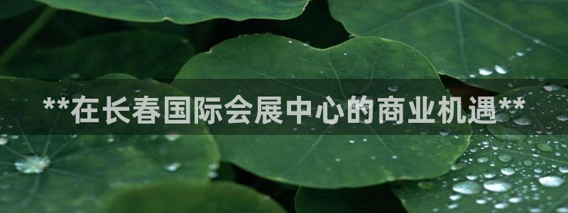 果博公司网站：**在长春国际会展中心的商业机遇**