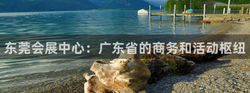 苹果手机能下载果博吗：东莞会展中心：广东
