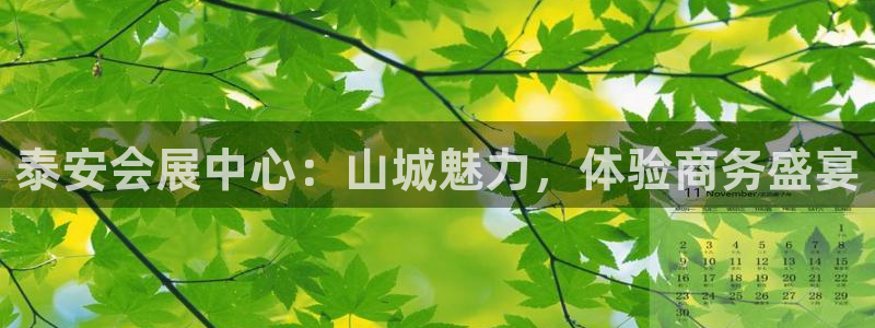 果博注册会员：泰安会展中心：山城魅力，体