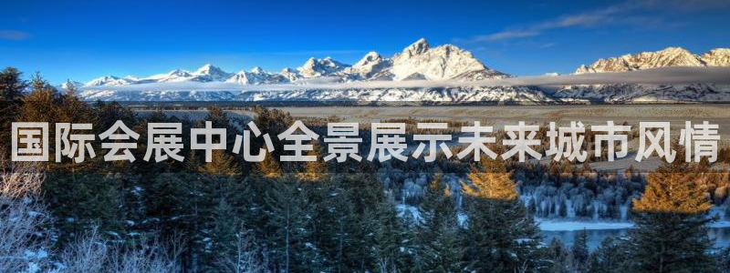 果博官网电话：国际会展中心全景展示未来城市风情