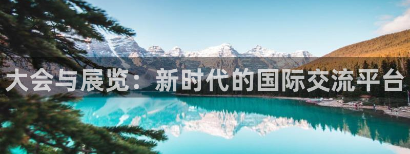 果博公司开户注册：大会与展览：新时代的国际交流平台