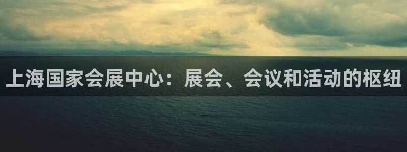 果博公司怎么开户：上海国家会展中心：展会、会议和活动的枢纽