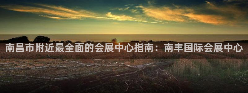 苹果手机能下载果博吗：南昌市附近最全面的会展中心指南：南丰国际会展中心